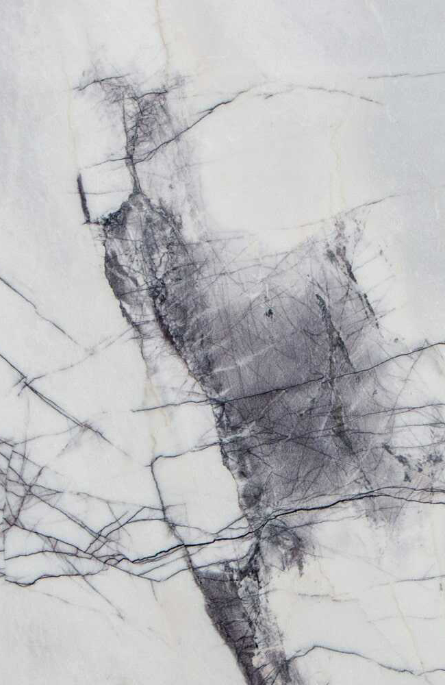 Well-Connected15.jpg